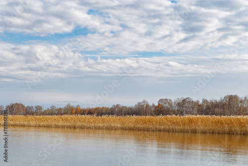 Picturesque view lake, dry reed plant and blue cloudy sky, nature environment background, lake Ik, Russia. Calm windless weather, natural scenery, beautiful rural landscape, grass reeds lakeside
