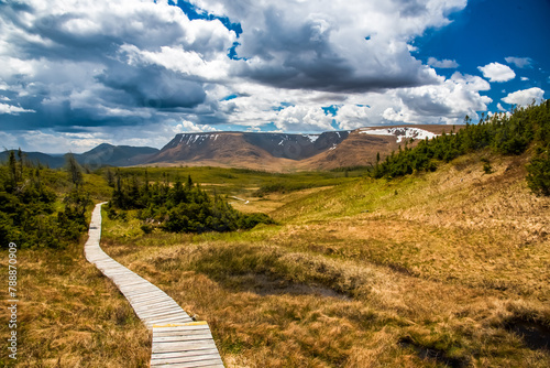 Trail with mountains in Gros Morne National Park photo