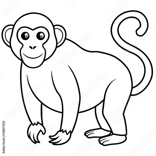 monkey illustration mascot,monkeys silhouette,monkey vector,icon,svg,characters,cartoon,Holiday t shirt,black monkey drawn trendy logo Vector illustration,monkey line art on a white background