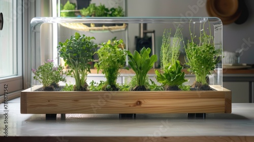 Hydroponic systems cultivate plants in nutrient-rich water solutions, minimizing the need for soil and maximizing space utilization. © Phoophinyo