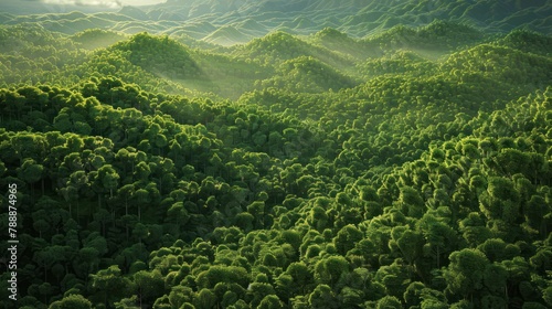 Lush green forests stretch as far as the eye can see, providing a haven for diverse wildlife.