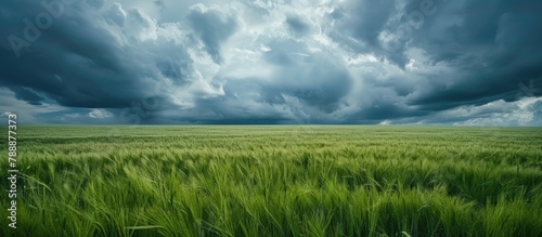 Landscape featuring a green grass field with dramatic clouds in the background.