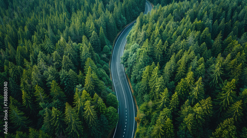 Aerial view of dense green trees in forest capture CO2 and curve highway road
 photo