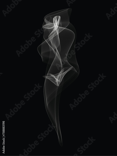 Abstract smoke shaped like a beautiful woman, vector illustration and design.