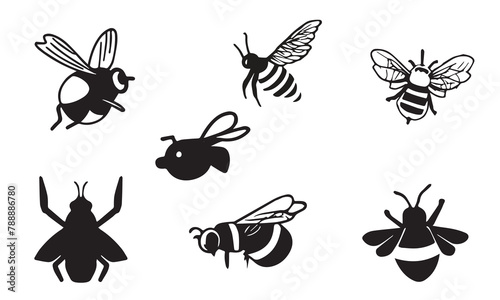 Barbut Cuckoo Bumblebee illustration minimal style icon EPS 10 And JPG