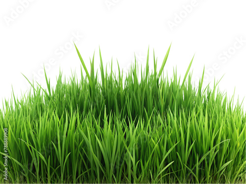 green grass