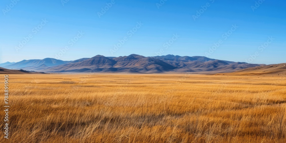A vast expanse of grassland under the blue sky, with distant mountains in the background, is bathed in sunlight, creating a peaceful and serene scene. A vast expanse of grassland under the blue sky, with distant mountains in the background, is bathed in sunlight, creating a peaceful and serene scene.