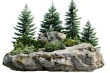 Cutout rock surrounded by fir trees Garden design isolated on white background