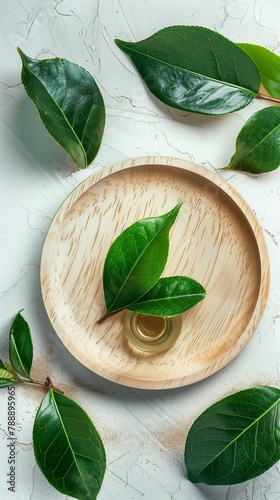 Green tea leaf extract water natural ingredient for skincare aesthetic on wooden palte photo