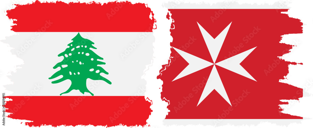 Malta and Lebanon grunge flags connection vector Malta and Lebanon grunge flags connection vector