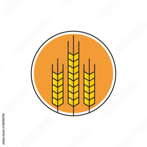 Wheat illustration design