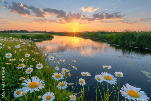 Beautiful sunset over the river with daisies growing on both sides of it, wide angle lens. Created with Ai