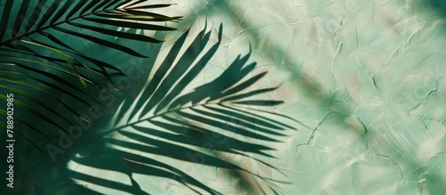 Chic backdrop for a presentation: Palm leaf casting a shadow on a verdant surface. © Vusal