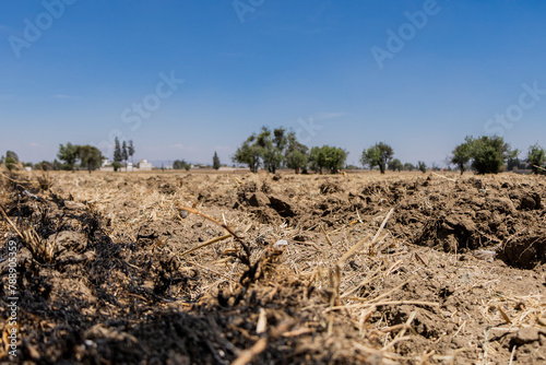 Crop fields during drought in Mexico in April 2024