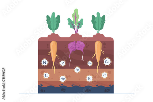 Soil Fertility