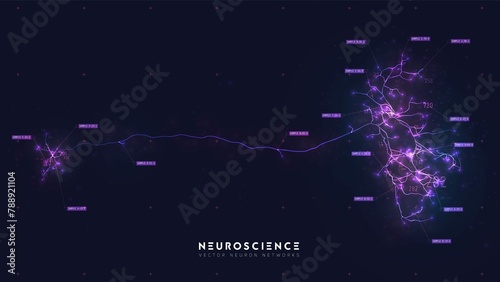 Neuron system model neural net structure research human nerve network digital artificial organism hu photo