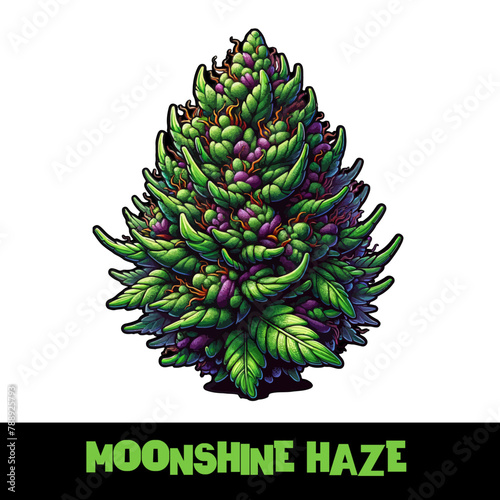 Vector Illustrated Moonshine Haze Cannabis Bud Strain Cartoon