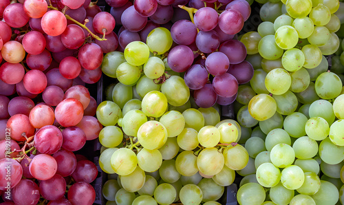 Bunches of grapes of different colors, Generative AI