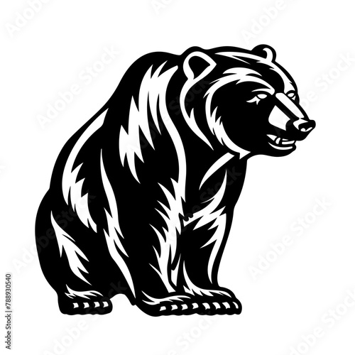 Large detailed bear