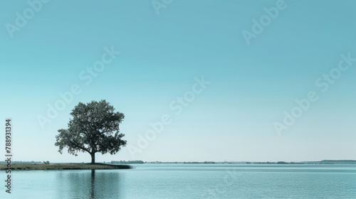 Illustration of a serene lake with a single tree on the shore under a clear blue sky, in a minimalist style