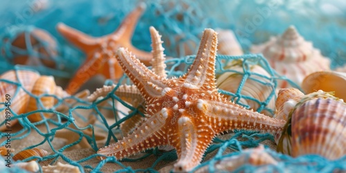 Starfish and shell are on blue net
