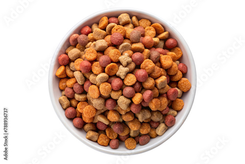 Dry dog and cat nutrition food in a white bowl. Pet food concept.