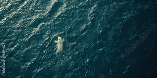 AI generated image, a photo of a polar bear swimming alone in the ocean, environment concept