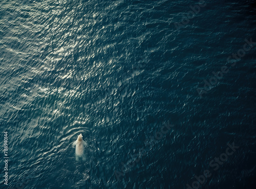 AI generated image, a photo of a polar bear swimming alone in the ocean, environment concept