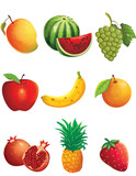 set of fruits hand drawn illustration 