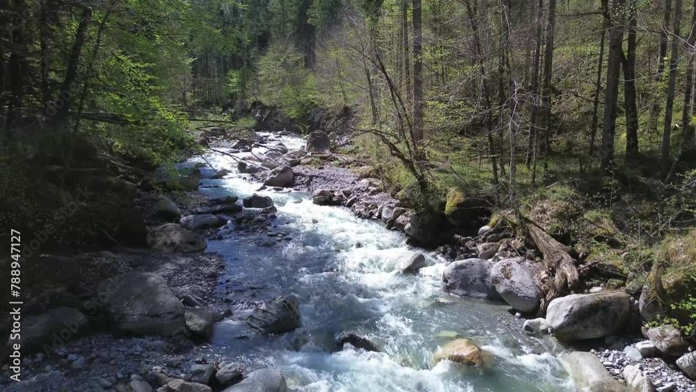Drone slowly move up mountain river surrounded by idyllic forest. Austria, Europe. Drone slowly move up mountain river surrounded by idyllic forest. Austria, Europe.