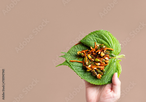Perilla Leaf Kimchi, Kimchi made with perilla leaves © mnimage