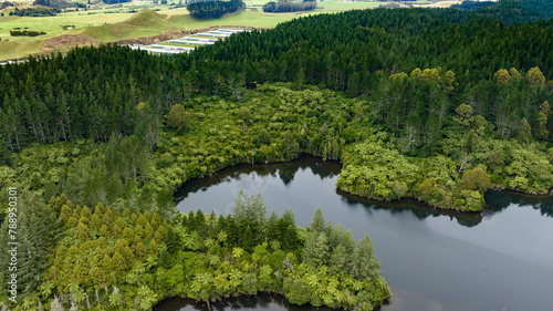 Drone perspective  of Lake Mangamahoe Taranaki  surrounded by forest