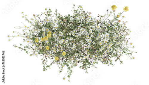 Fototapeta Naklejka Na Ścianę i Meble -  Top view Evergreen colorful flowers and grass field in nature with isolated on transparent background - PNG file, 3D rendering for create and design or etc