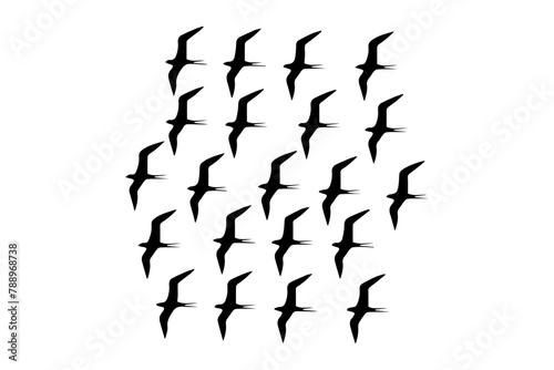 birds silhouette set, flying birds group silhouette vector illustration, birds flock flying in sky, set of plying birds silhouette, birds silhouettes set, birds silhouette, black, photo