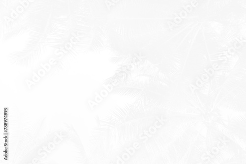 Abstract white Summer concept background, Coconut tree pattern background, white summer