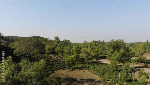 Aerial video drone shots of the Bangladesh landscape with lush green foliage, trees and the river