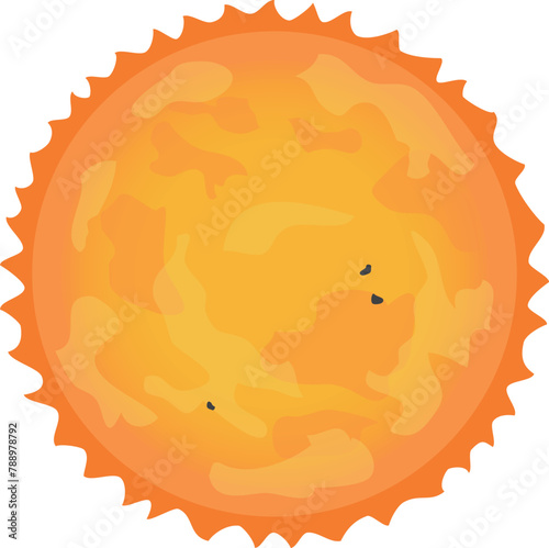 太陽