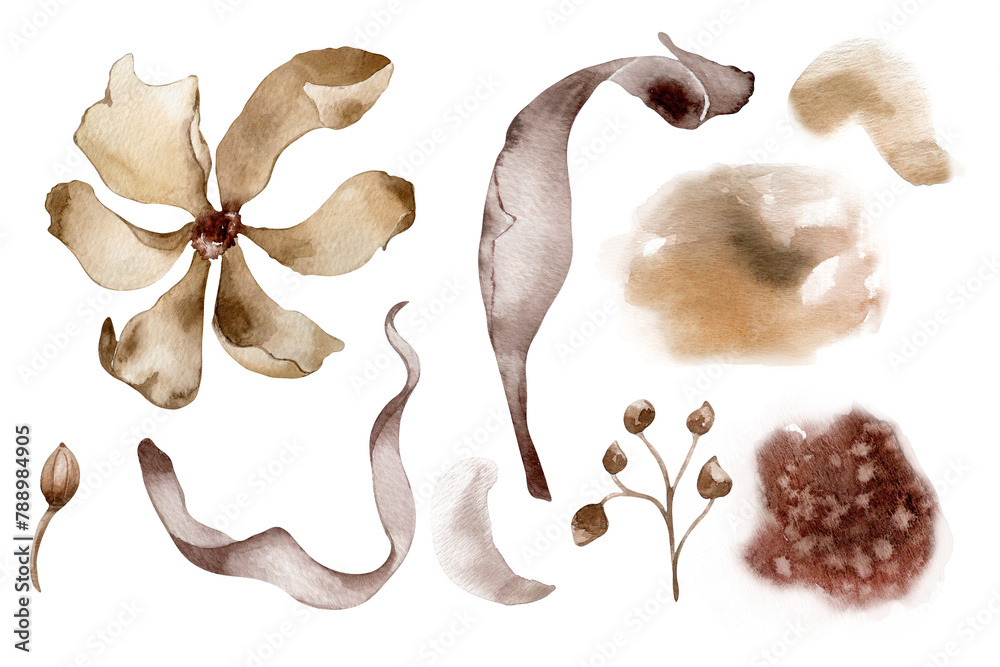 Fototapeta premium Flower and plants in monochrome watercolor set. Abstract flowers and leaves in sepia color isolated on white. Brown background. Suitable for the design of wedding cards, invitations, printed products