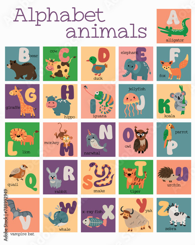Cute animal alphabet. English Alphabet poster. ABC.  