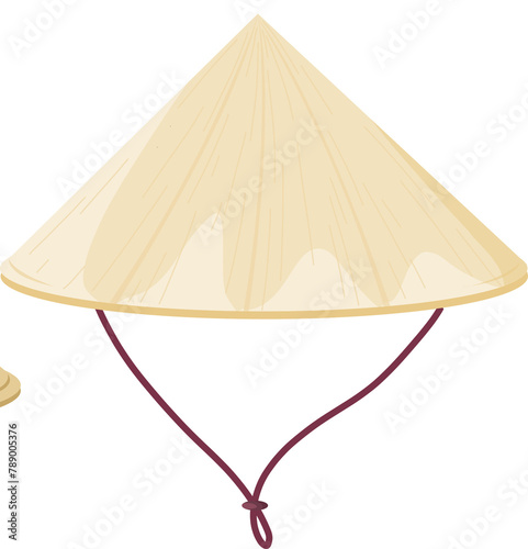 Vietnamese Traditional Hat