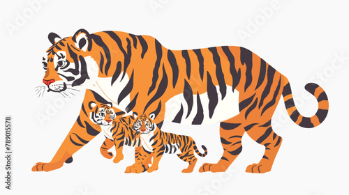 Tiger carrying its cub isolated on white background.