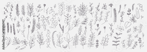 線画。線画タッチの草木ベクターイラストセット。草木の線画イラスト。Line drawing. Grass and trees vector illustration set with line drawing touch. Line drawing illustration of plants and trees.