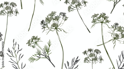 Seamless pattern with dill flowers or inflorescences photo