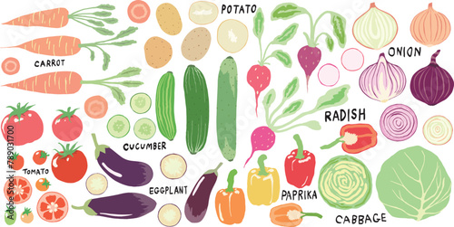 set of vegetable hand drawn vector clip art