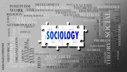 Sociology as a complex subject, related to important topics. Pictured as a puzzle and a word cloud made of most important ideas and phrases related to sociology. ,3d illustration