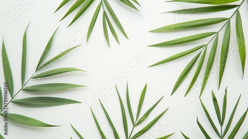 green palm leaf branches on white background flat lay top view   Generative AI
