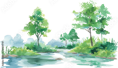 watercolor illustration background landscape green forest with water