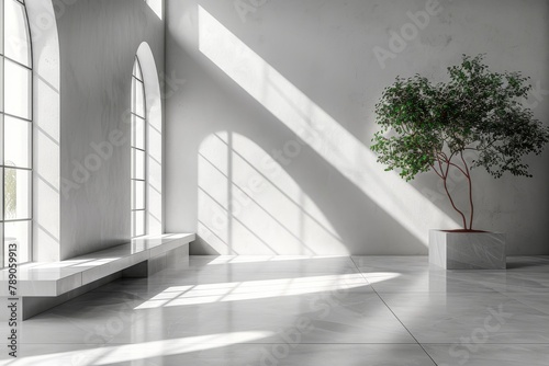 Bright and airy gallery space with large arched windows and a potted tree casting shadows