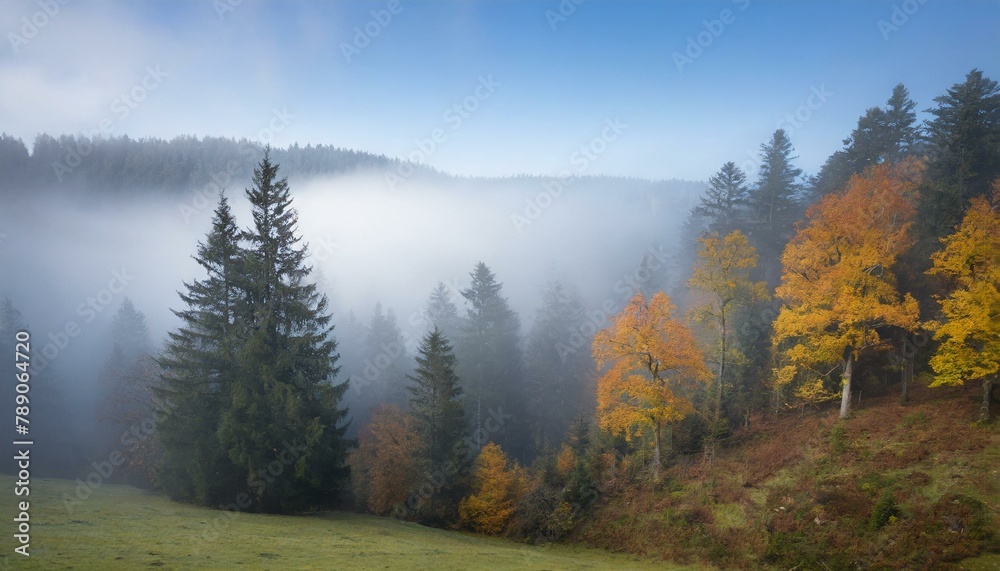 fog in the mountainsmountain, fall, trees, fog, green, view, pine, clouds, hill