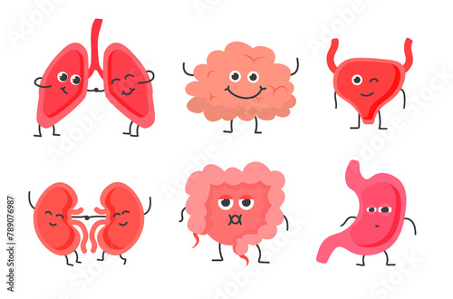 PNG, Medical human circulatory organ funny cartoon collection. Human internal organs. Biology medicine character cartoon. Heart, liver, brain, stomach, lungs, kidney organ. Vector illustration